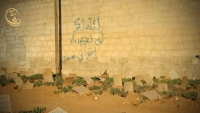 لن تضيع دماء أخواني سدى