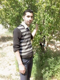 الشهيد احمد ابو سعيد